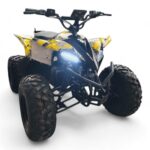 Shredder Mk2 48v 1800w Electric Quad Bike