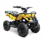 Trek 36v 1000w Electric Kids Quad Bike