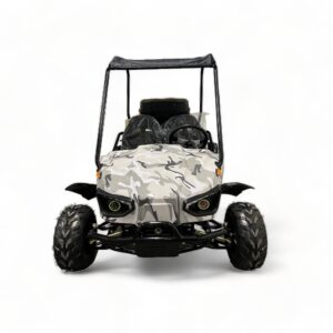 evolution duo 60v 2200w electric buggy