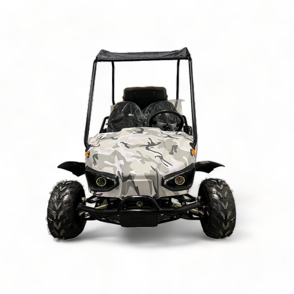 evolution duo 60v 2200w electric buggy