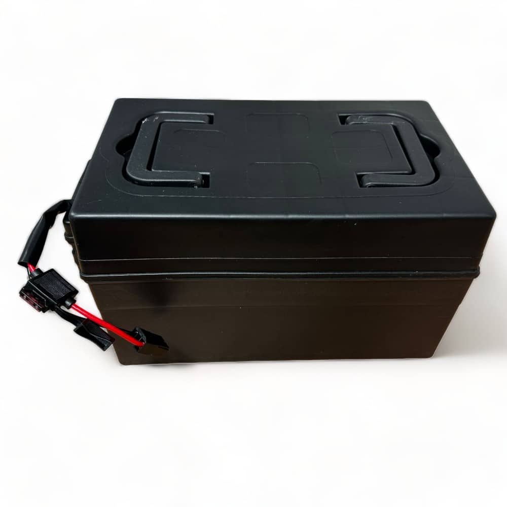48v_20ah_battery_pack_teen_1600_i